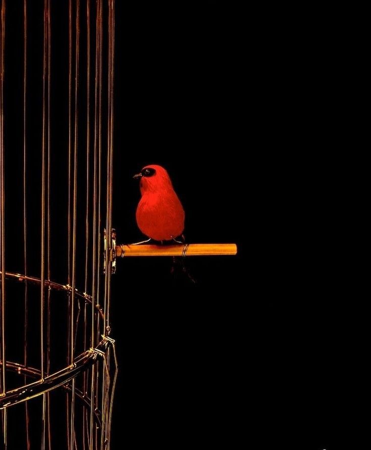 Sager_MSL's tweet photo. Goodnight! 🖤💛❤️ https://t.co/BCbl8kEHuc
