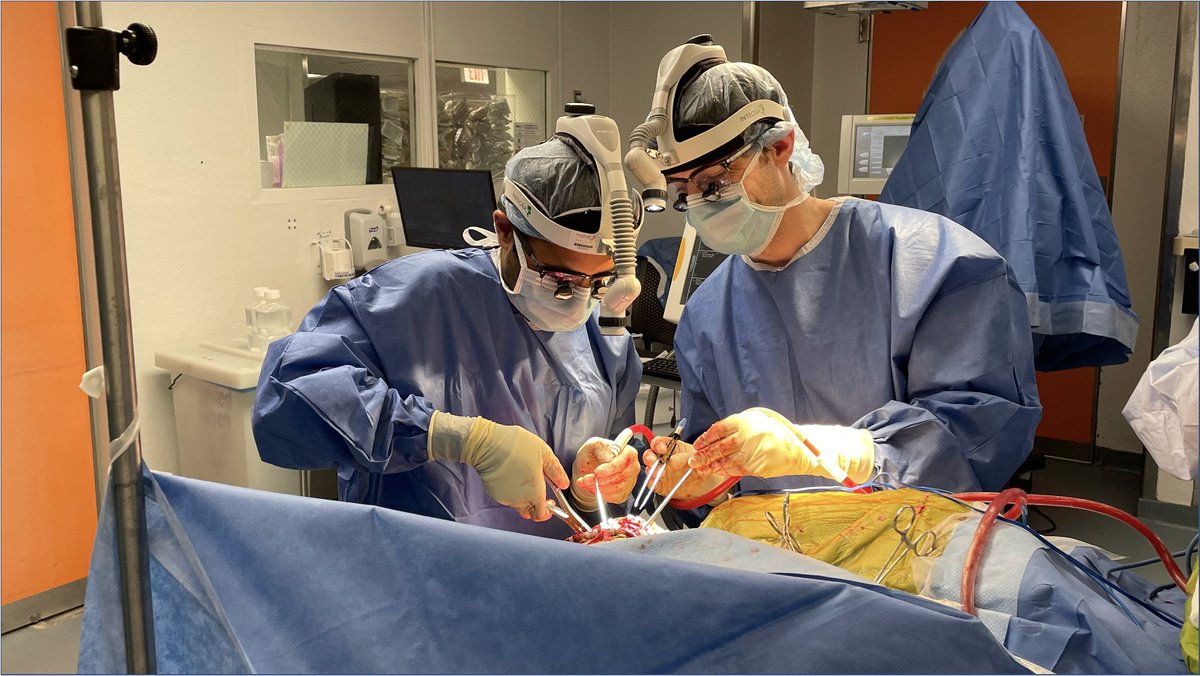 Daniel Orringer (@danorringermd) on Twitter photo Applications for sub-internships in #neurosurgery <a href="/nyulangone/">NYU Langone Health</a> <a href="/NYUneurosurgery/">NYUneurosurgery</a> are now open on VLSO. Come join us! tinyurl.com/mutzhmr4 Applications for sub-internships in #neurosurgery <a href="/nyulangone/">NYU Langone Health</a> <a href="/NYUneurosurgery/">NYUneurosurgery</a> are now open on VLSO. Come join us! tinyurl.com/mutzhmr4