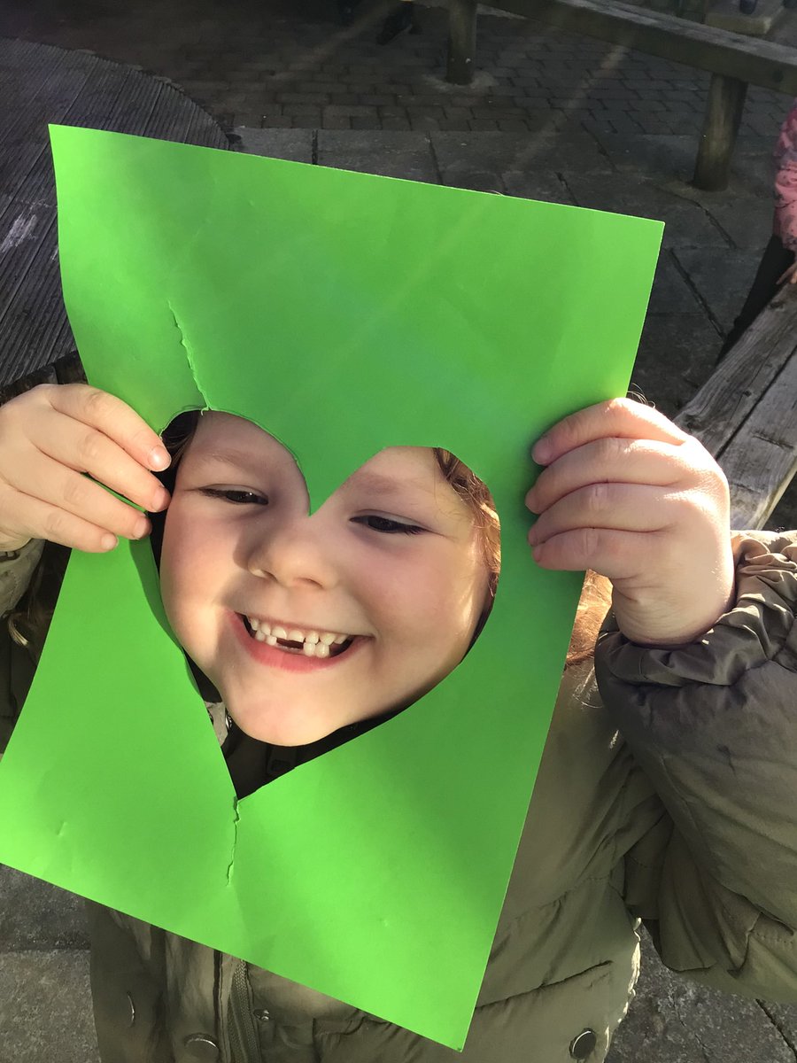 Pennar's Puffins, Goldfinches and Cygnets tweet media