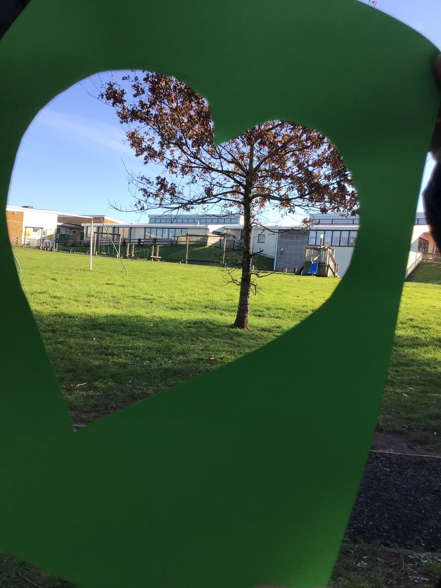 Pennar's Puffins, Goldfinches and Cygnets tweet media