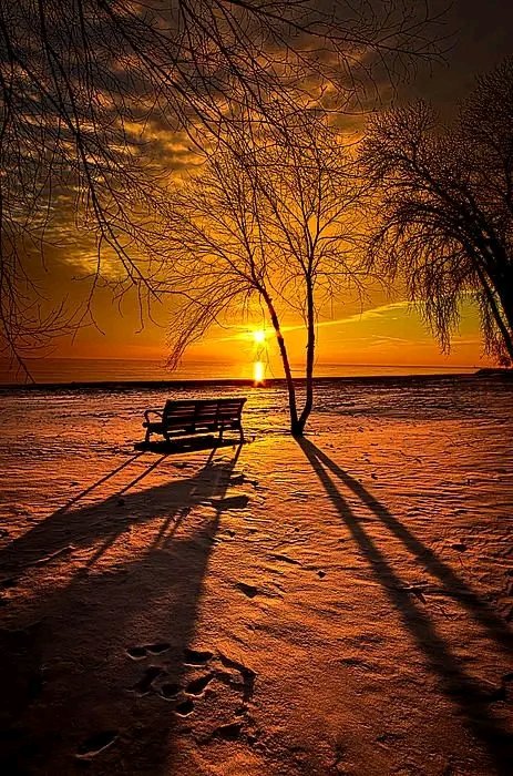 Be careful with your words, because once they've been said, they can only be forgiven; not forgotten. 
#tuesdayvibe #ValentinesDay #TheFlashMovie #14february #บิวได้บทพีทมาอย่างถูกต้อง #SUGA #AgustD #MAFSAU #ValentinesDay2023 #michiganstate #Ukraine #عيد_الحب #chainsawman120 #SPM