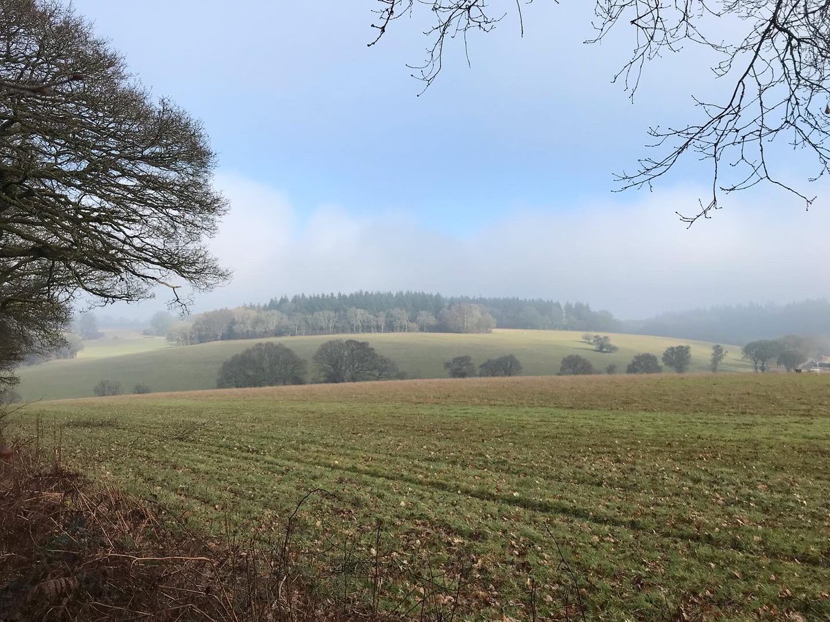 NCwilts's tweet photo. Half term #walkietalkies walk with friends I’ve known since school. Started in mist and ended in sun. Wonderful! #farleighwallop https://t.co/H9YMBcjPVz