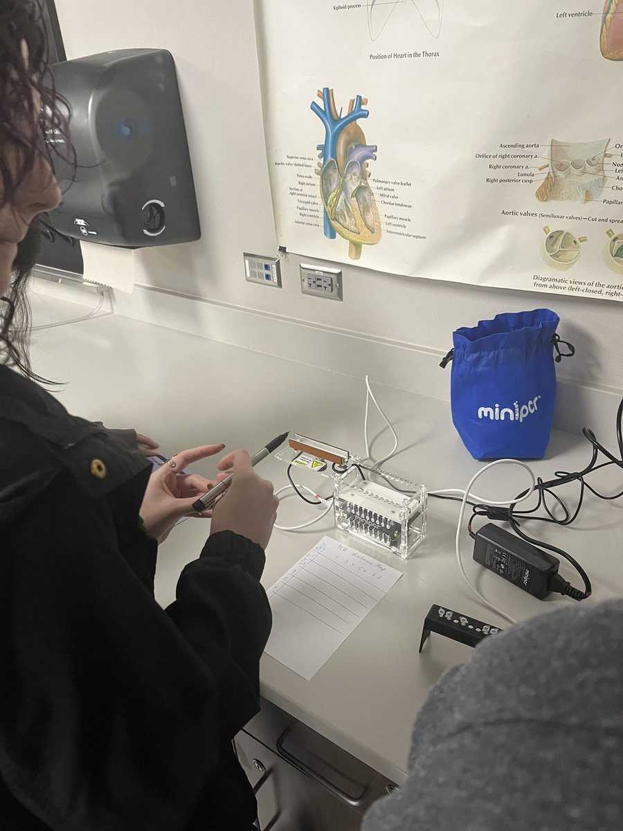 We turned cheek cells into bands in a gel! We an got an amazing 90% student results with <a href="/miniPCR/">miniPCR bio</a> PTC taster lab we did during our Hardy-Weinberg unit. Scientists in the making in! #PTC #APBio <a href="/SecScienceKISD/">Tina Hovance</a> <a href="/JhsWarriors/">Jordan High School</a> <a href="/katyisd/">Katy ISD</a>