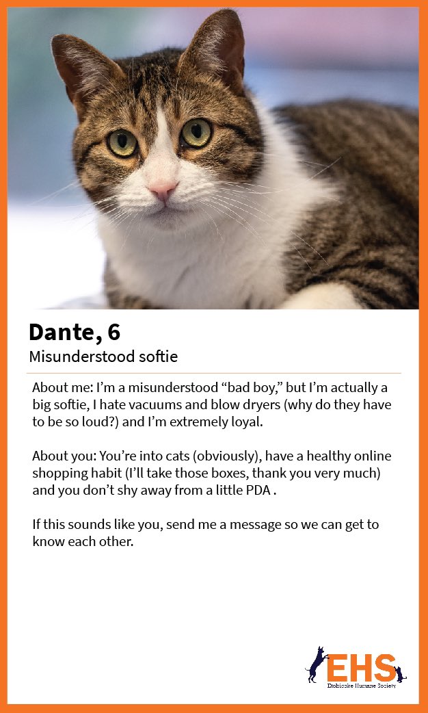 Etobicoke Humane Soc (@EtobHumaneSoc) / Twitter Etobicoke Humane Soc (@EtobHumaneSoc) / Twitter