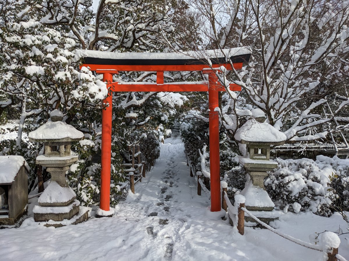 camelliakyoto's tweet photo. 🌨️⛄️SPRING SNOW🍵🌸

There is a saying in Kyōto at this time of year that goes "sankan shion" (三寒四温), "3 days cold, 4 days warm".

I think we may be deep in those 3 days...

#Kyoto #京都 #Japan #snowyday #snow #Myoshinjin #妙心寺 #Ryoanji #龍安寺 #GardenTeahouse https://t.co/Pe3VRBIlqJ