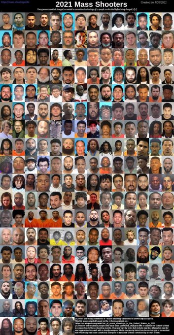Thugs call the 13% stat “racist” but  can’t deny mass shooter mugshots from 2021 proving white supremacy