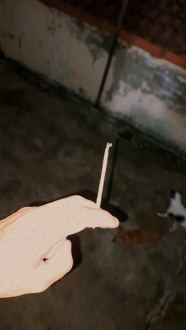 Chapo Do Chong tweet media