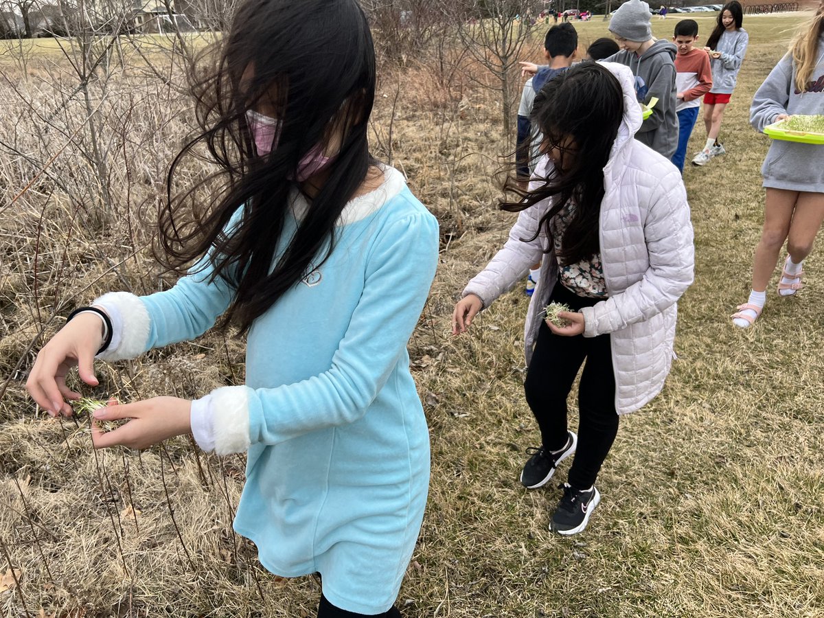 Sharing the alfalfa sprouts we grew with the animals in the wetlands.

<a href="/SmokyRow1/">Smoky Row Elementary</a> <a href="/myccs/">Carmel Clay Schools</a>