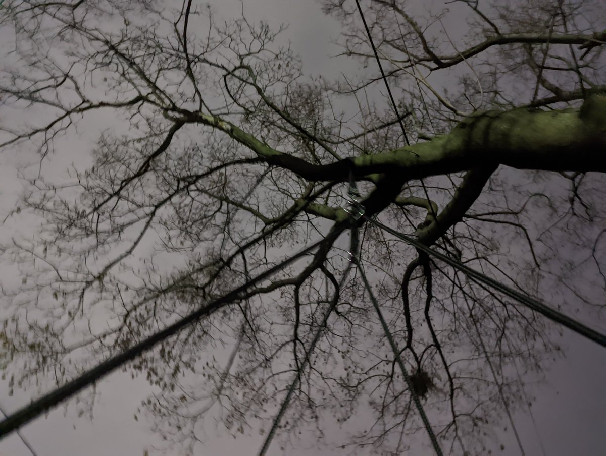 Sc0Back's tweet image. 