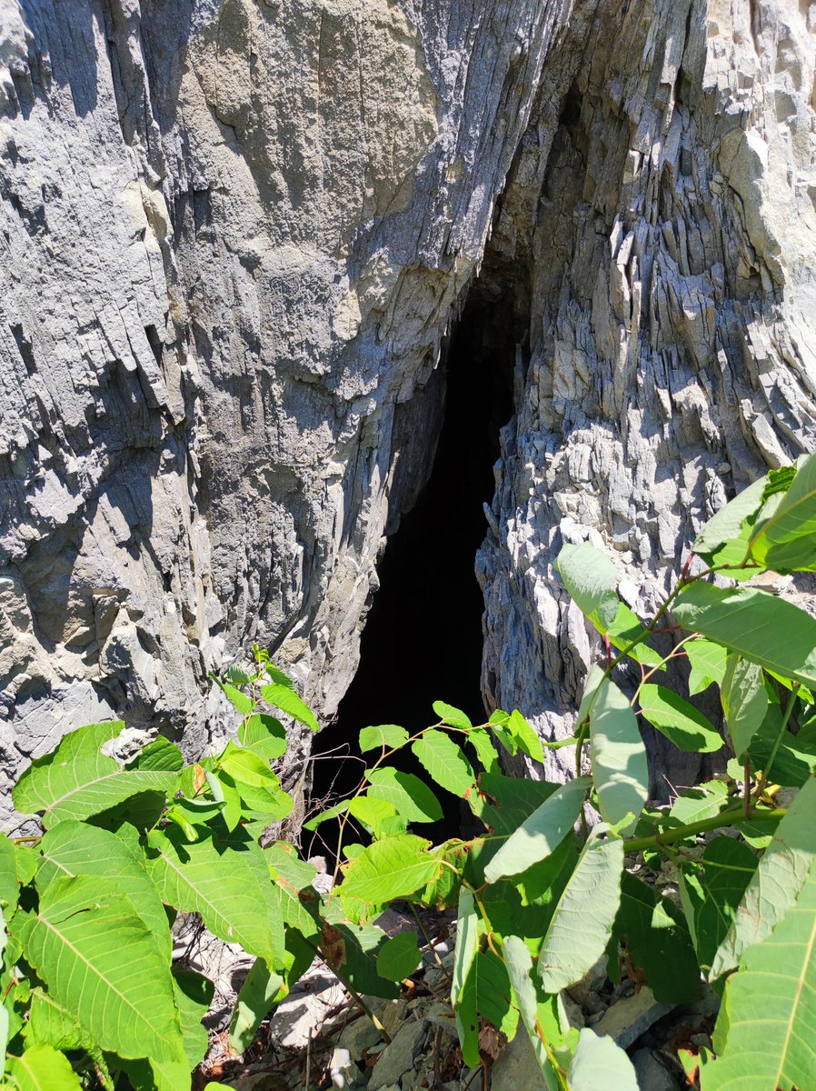 銭函トレッキング tweet media