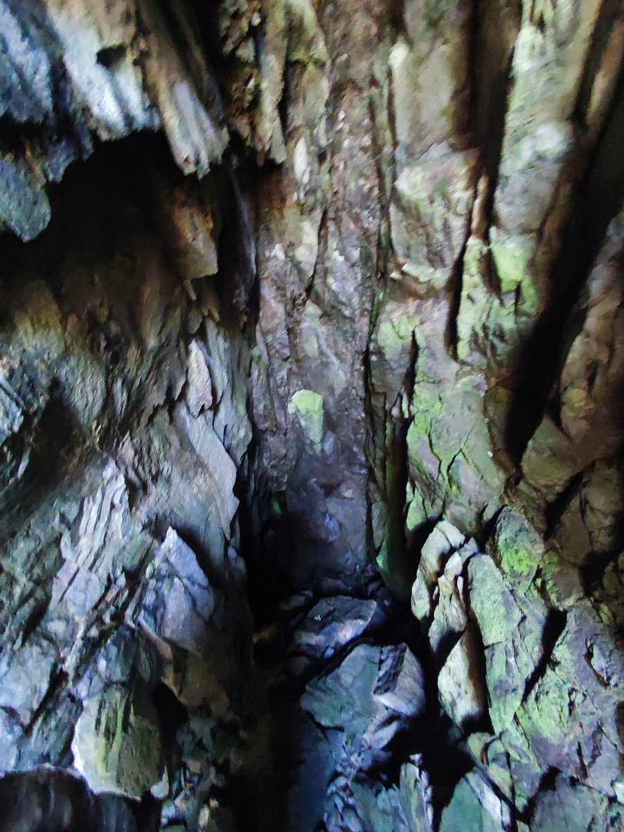 銭函トレッキング tweet media