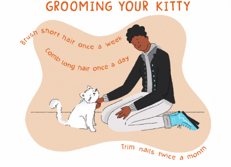 Wondering how often you should be grooming your cat? Here's an image to help. 

#cats #catgrooming #healthy #happy #healthypet #happypet #grooming