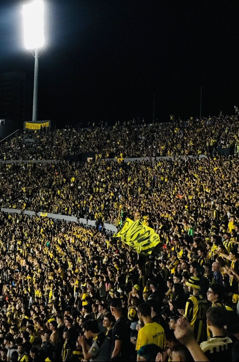 Te diría que sos el amor de mi vida pero existe Peñarol.