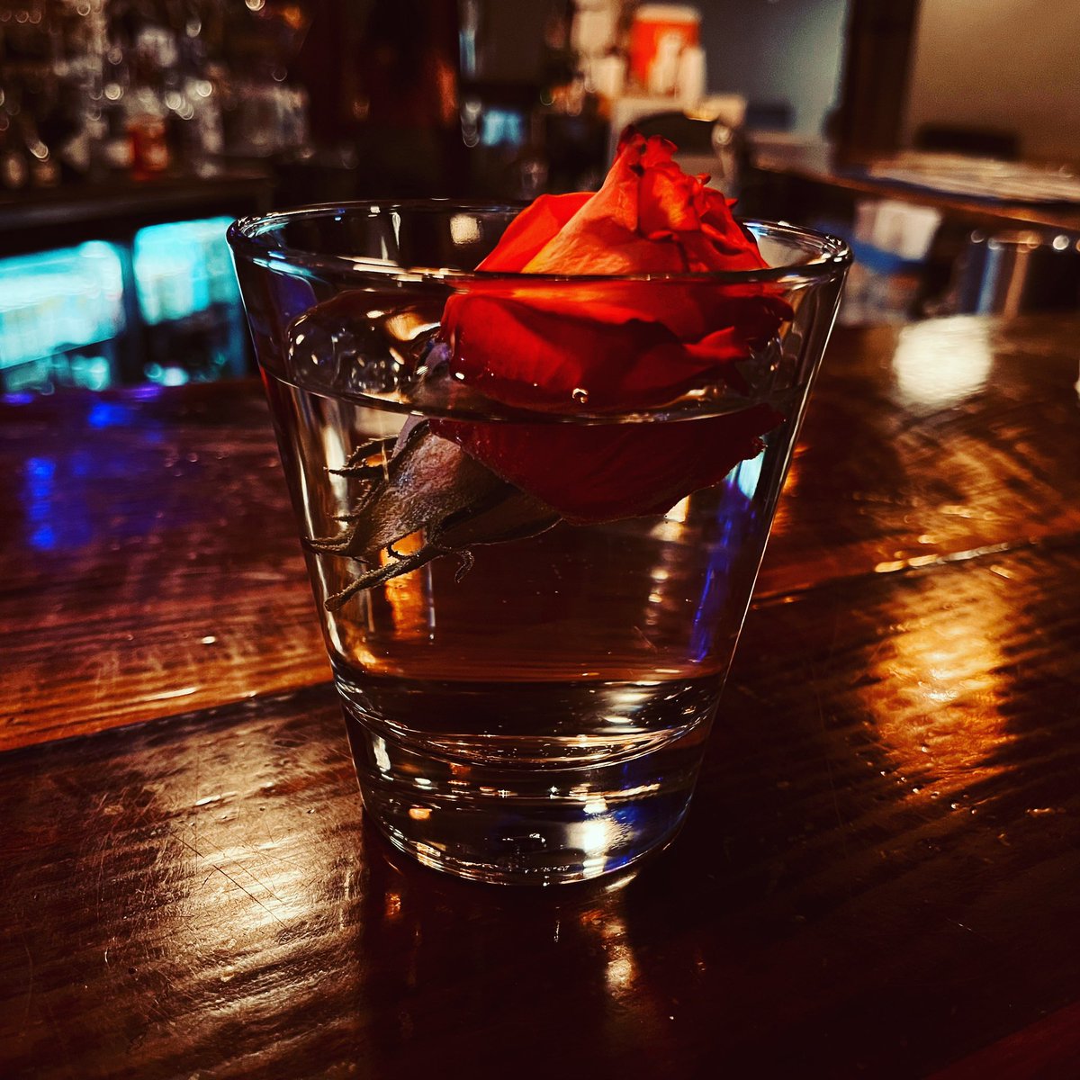 Happy Valentine’s Day!! #divebarrose