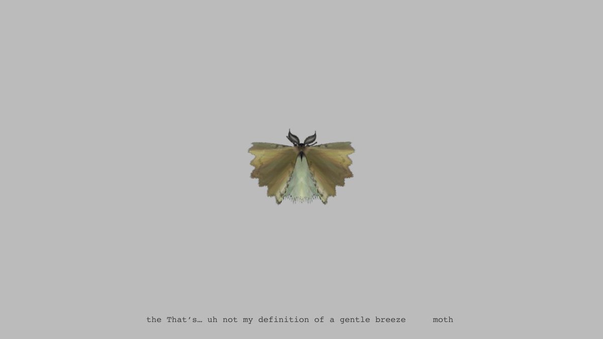 moth generator tweet media