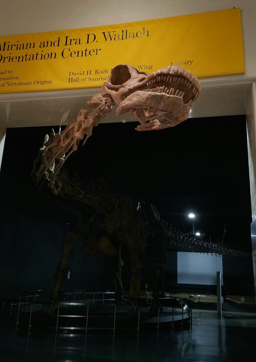 Night at the Museum Updates tweet media