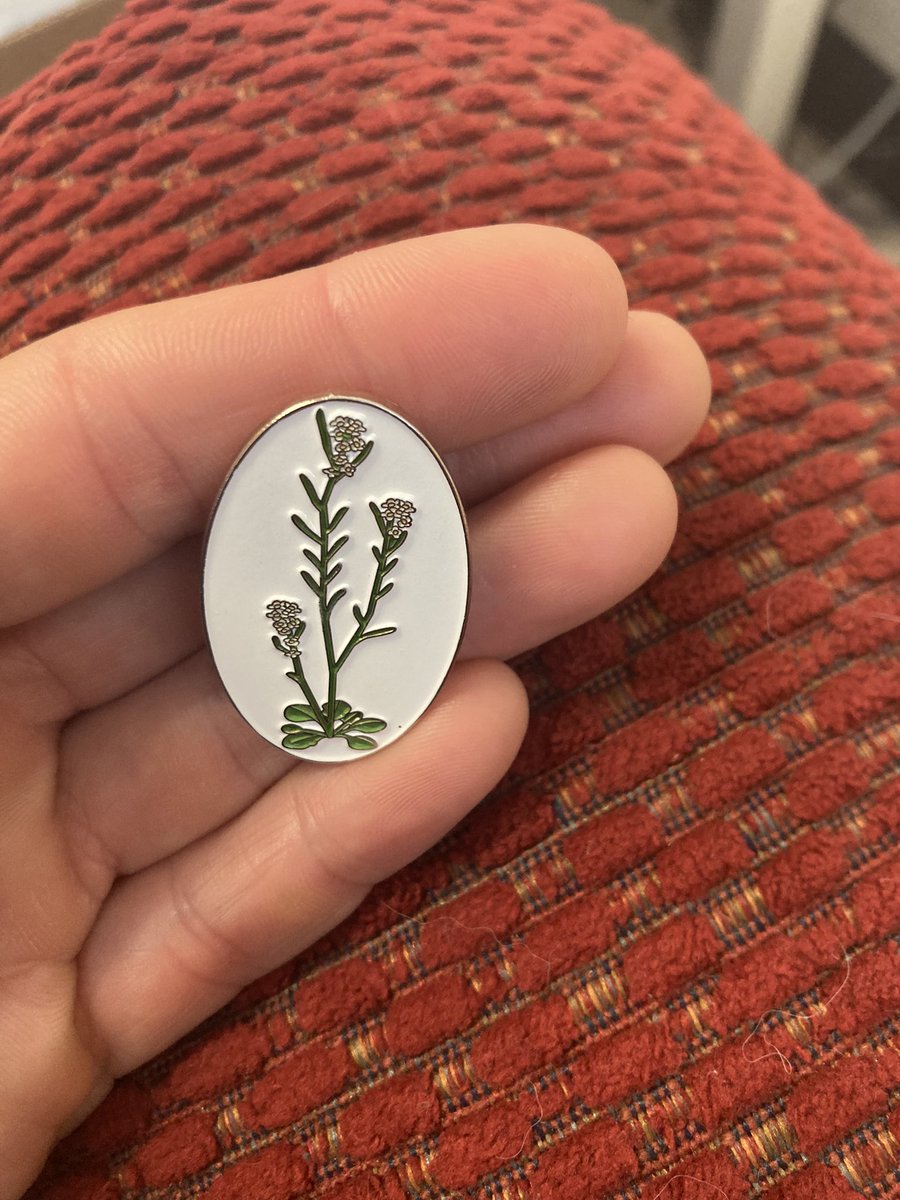 One of my undergraduate researchers just gave me this and it makes me so happy! She also made one for each of her project teammates #Arabidopsis #phdlife #plantsarecool #undergraduateresearch