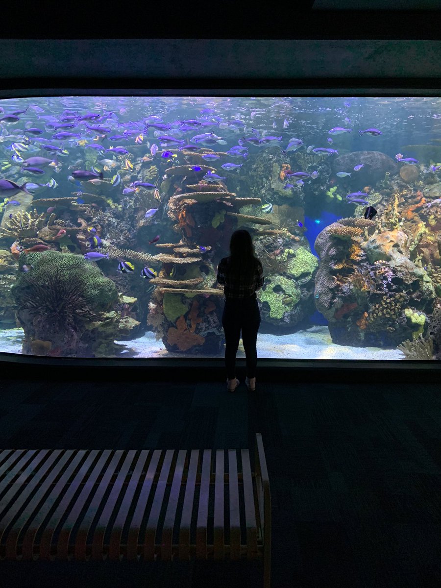 Snipehardt's tweet image. Having a wonderful vacation with the gorgeous @TroubleMaker9II! It’s been a great time. #ValentinesDay #bringmethehorizon #pokemonunite