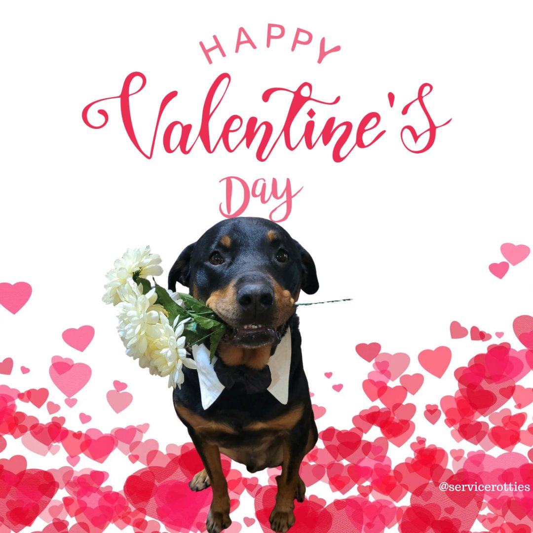 Happy Valentine's Day! I think it might be better called Palentine's day! 
Thank you for the warm thoughts!
Some of you even sent cards and that made my ❤️smile. 
I hope you know that you're special and lovable.