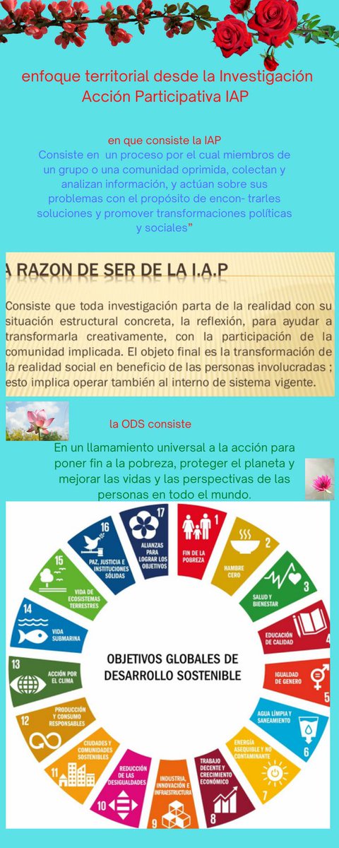 DINORA MONTERROZA tweet media