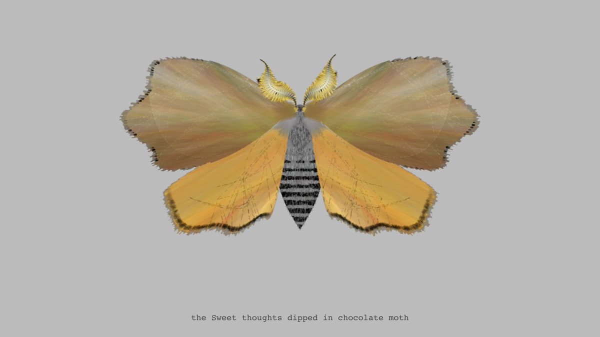 moth generator tweet media