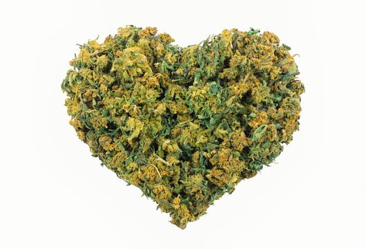 Happy Valentines Day to the WEEDGANG Fam all across the globe 🌎

Now go blaze some good good with your special one😶‍🌫️😶‍🌫️😶‍🌫️ #ValentinesDay2023 #CryptoCannabisCommunity #CannabisCommunity