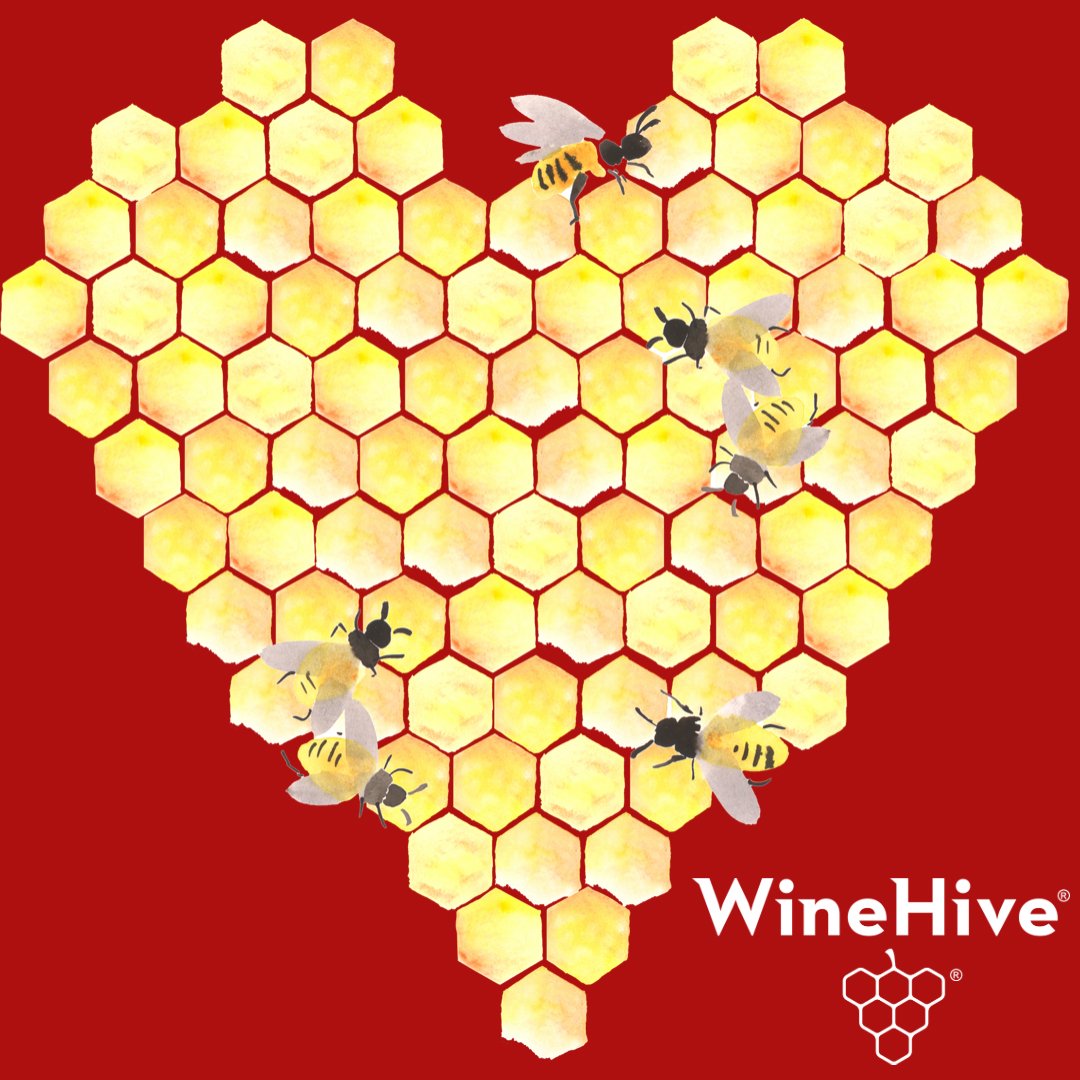 winehive's tweet photo. Today is a day to spend with people you love. So whether you are with a significant other or your very favorite "Galentine", grab a bottle out of your WineHive and start celebrating! Happy Valentine's Day from your friends at WineHive.❤️ 

https://t.co/QghkZCLYgB https://t.co/add3Z8Bnpa