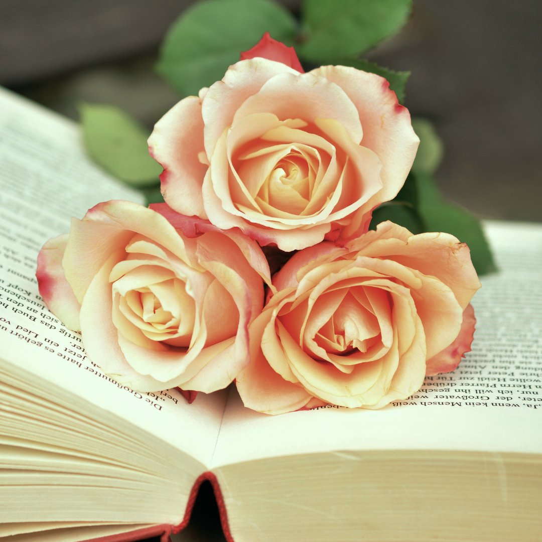 teatimebookshop's tweet photo. Happy Valentines Day to all book lovers! 😍📚 https://t.co/PMst3dLaMS