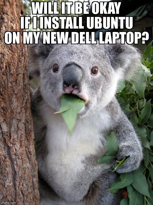 askubuntumemes's tweet image. Will it be okay if I install Ubuntu on my new Dell laptop? askubuntu.com/questions/1454… #ubuntudrivers #dell #systeminstallation