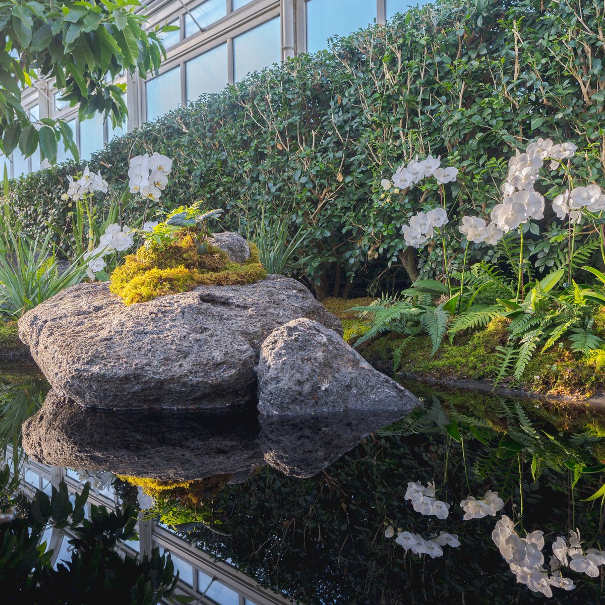 The big day is finally near: this Saturday, February 18, we open The Orchid Show: Natural Heritage to the public—and invite you to envelop yourself in the floral vision of Lily Kwong. ☀️🌺

Get your tickets now, and stay tuned for more! fal.cn/3vS7h