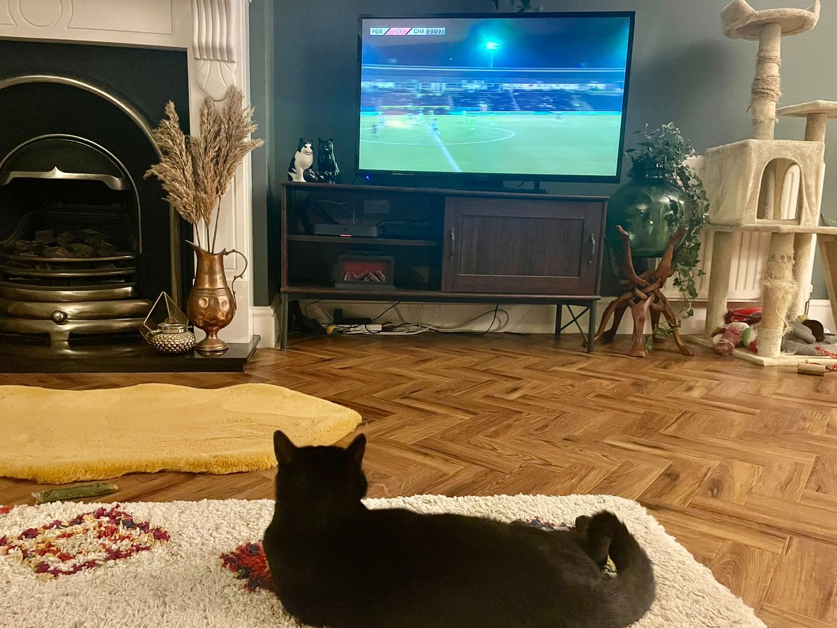 My Only Desire Magazine on Twitter "Stayed at home for this one. No