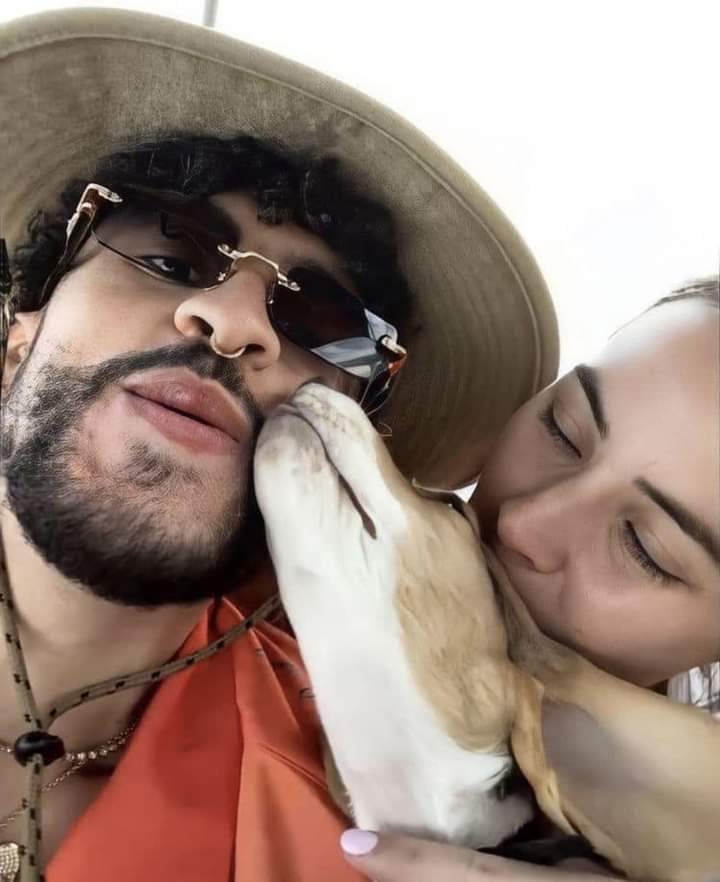 badbunnytwetts's tweet photo. La verdadera Ojitos Lindos de Bad Bunny, "SANSA". 🥰 https://t.co/XVAeeOLySh