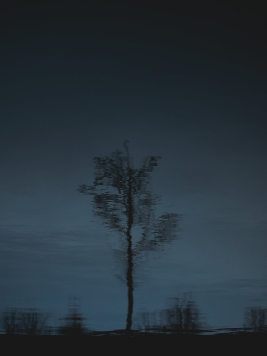 GRENZEN DER LIEBE

Alles kann Liebe
zürnen und zagen
leiden und wagen
demütig werben
töten, verderben
alles kann Liebe

Alles kann Liebe
lachend entbehren
weinend gewähren
heißes Verlangen
nähren in bangen
in einsamen Tagen
alles kann Liebe
nur nicht entsagen

- Ebner-Eschenbach