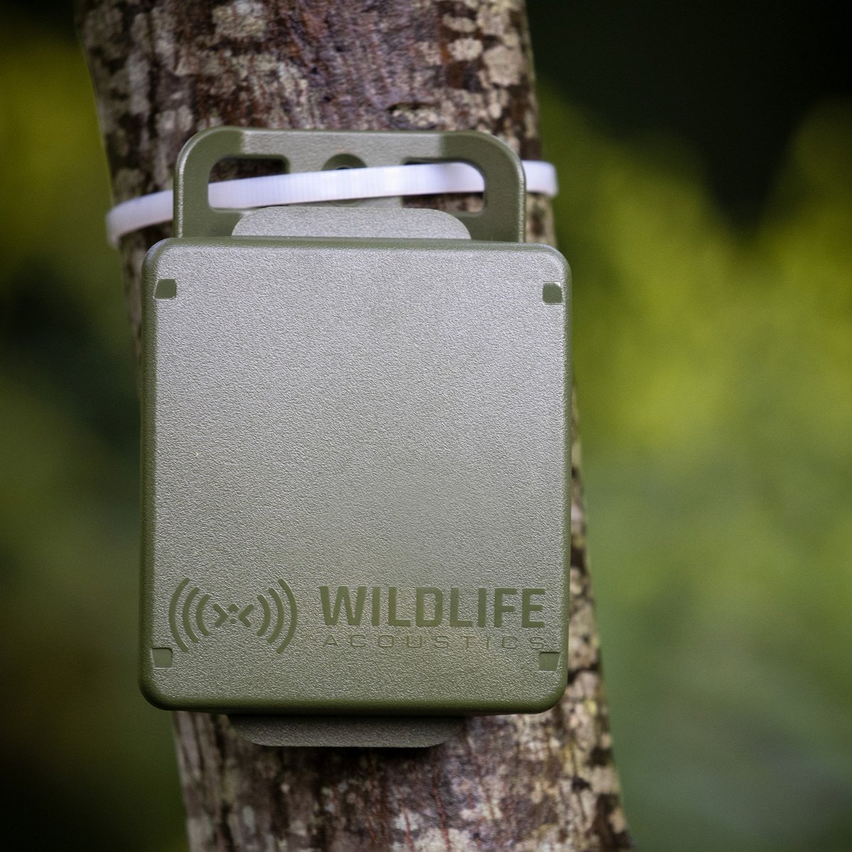 WildlifeAcoust's tweet photo. 📢 Attention wildlife researchers! 📢

The final day to apply for the Wildlife Acoustics grant program is tomorrow, February 15th 🦜🌳🐘

Submit your applications now: https://t.co/wBqDN63yQS  
#WildlifeAcoustics #GrantProgram https://t.co/qww7O8yZNN