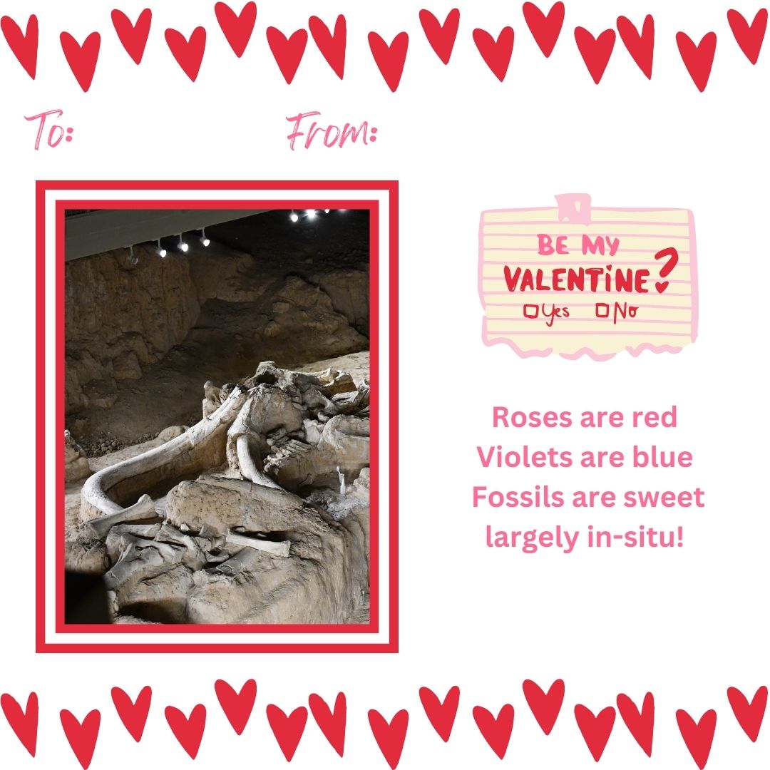 Happy Valentine's Day! What do you love most about Waco Mammoth National Monument? Let us know in the comments! #LoveYourPark