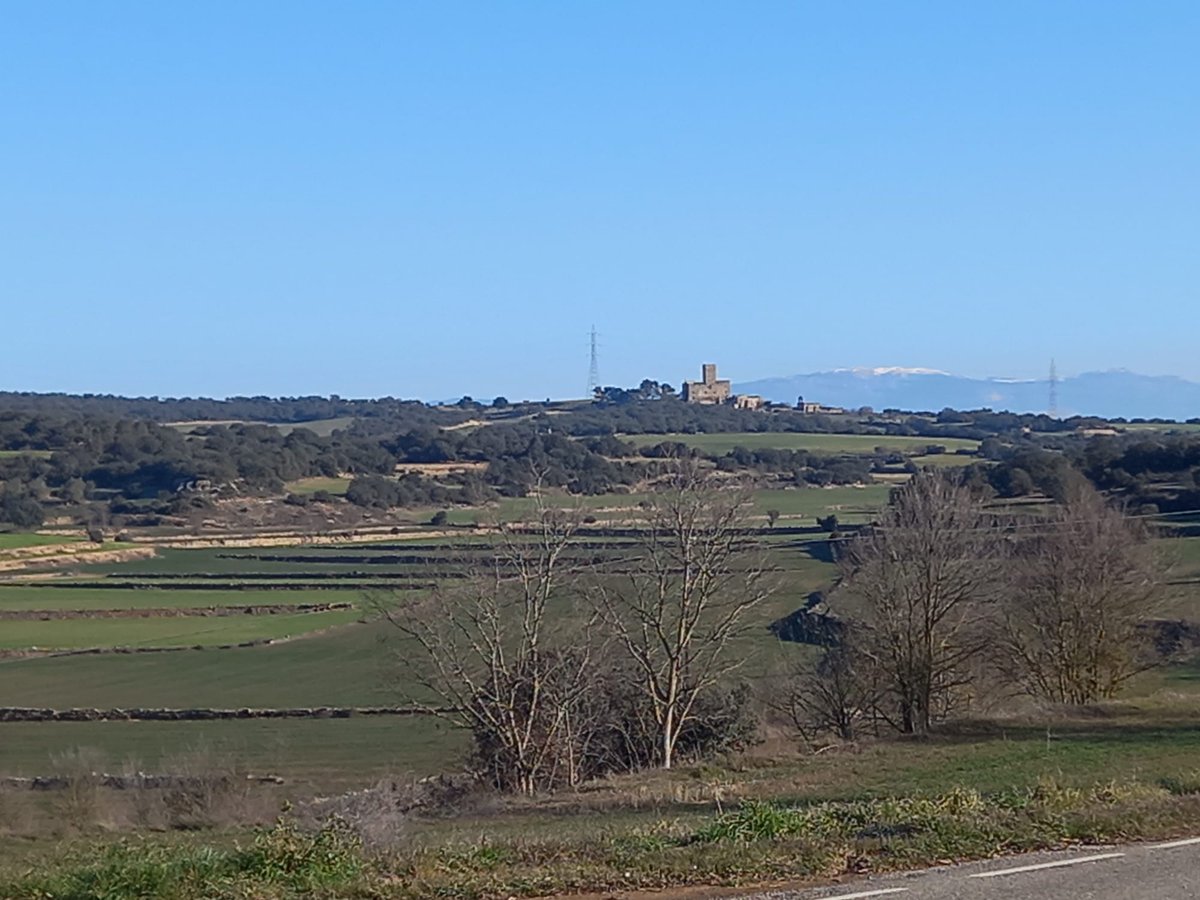 CCGuissona's tweet photo. Aquest passat diumenge 12 de febrer vàrem fer una ruta entre la Segarra i l'Urgell amb BTT. Ruta rodadora. Paisatges verds d'hiverns i solejats. 60 Km. #clubciclistaguissona #lasegarra #urgell #btt https://t.co/sUYJSf91jS