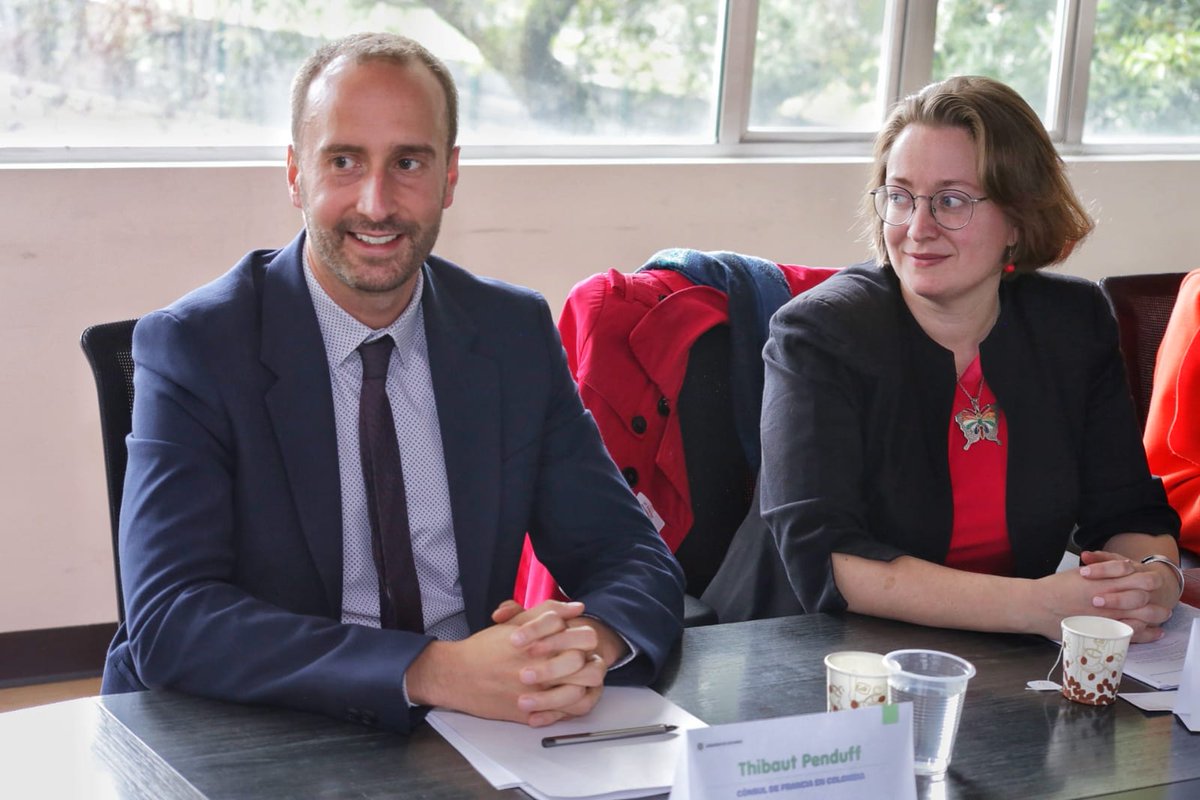 Dirección General ICBF tweet media