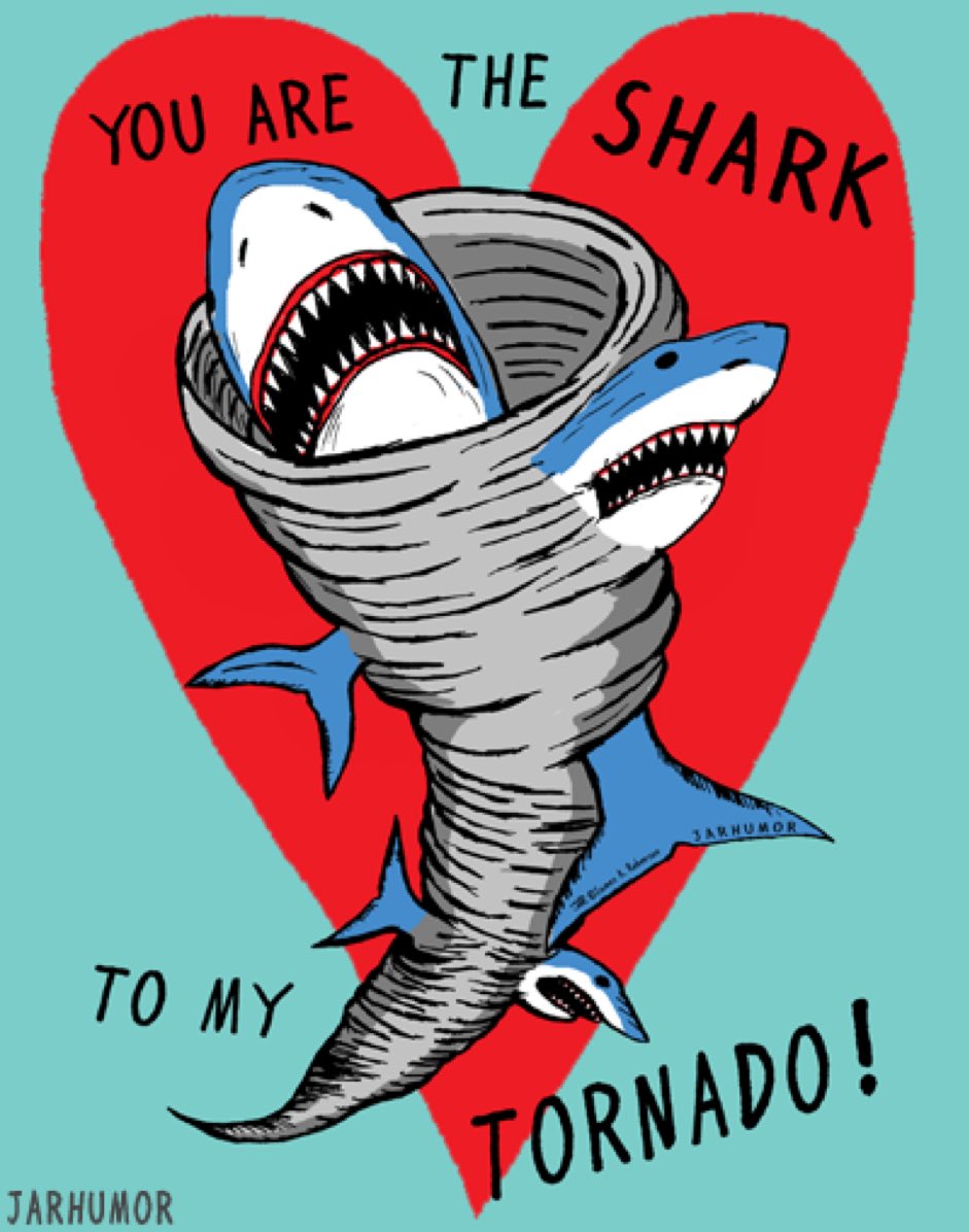 Yuval Ariav tweet media