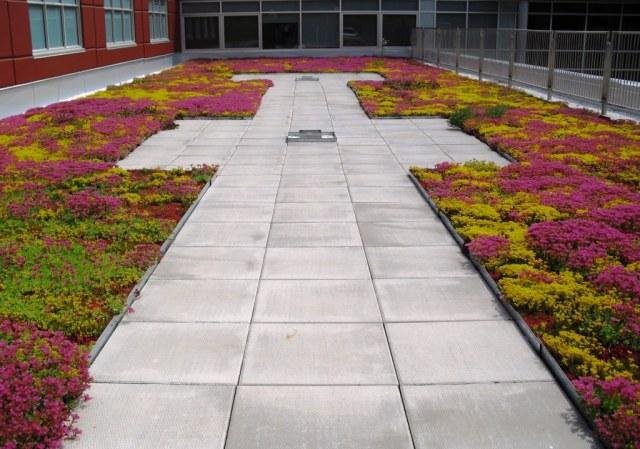 Happy Valentine's Day!
Today, we would like to share some colorful project images illustrating the different possibilities in a Hydrotech Garden Roof Assembly.
#valentinesday #greenroofs #greeninfrastructure #architecture #landscapearchitecture #landscapearchitect #sustainability