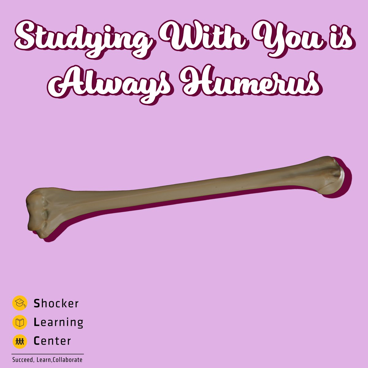 ShockerCenter's tweet image. Happy Valentine's Everyone! 💛 Share these SLC Valentines with the special Study Buddies in your life! #ValentinesDay #studybuddy #platonic #wsuslc
