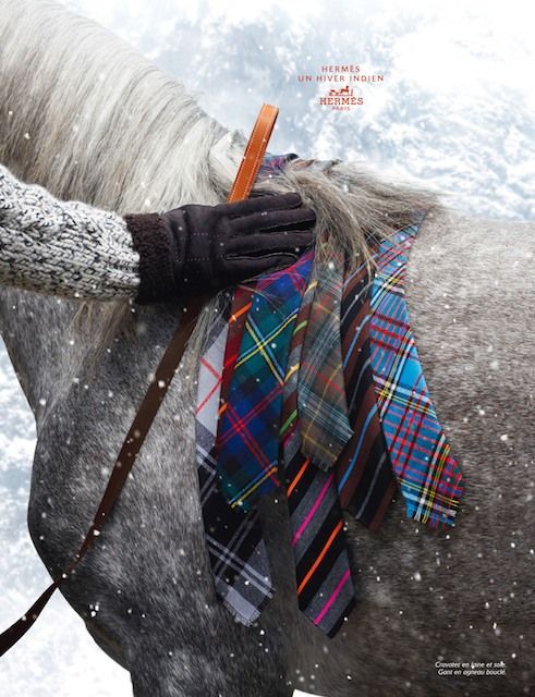 iranboutique (@iranboutique) on Twitter photo 