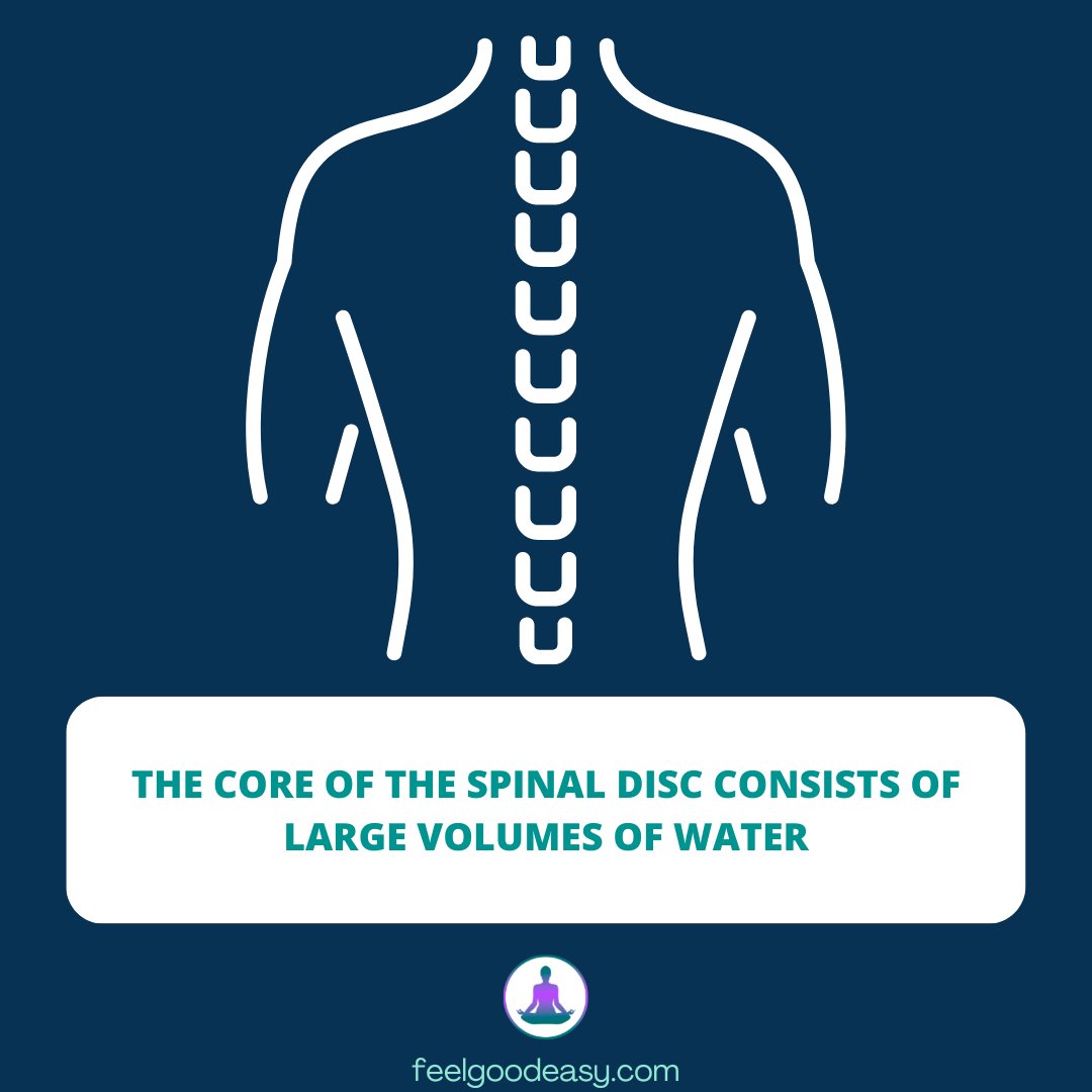 FeelGoodEasyCom's tweet image. #SpinalDiscHealth #WaterContent #BackPain #Degeneration #Herniation #BulgingDisc #SlippedDisc #CoreStrengthening #LowImpactExercise #QualityofLife
feelgoodeasy.com/facts/importan…
