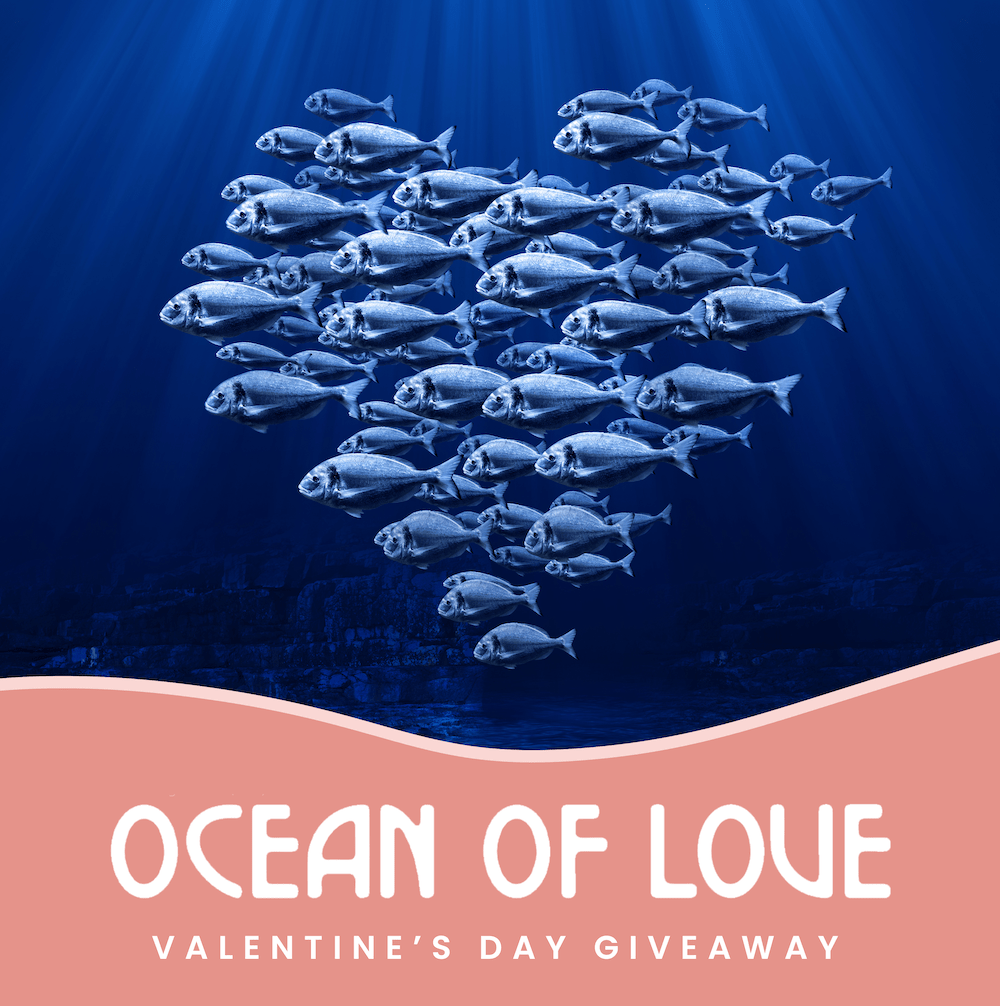 Our planet is a love story worth talking about — and we want to hear yours! 🌿 💕

Enter for a chance to win a Daily Mineral Sunscreen Lotion + Under the Sun Serum:
tinyurl.com/3mve33au

Ends tonight at midnight!