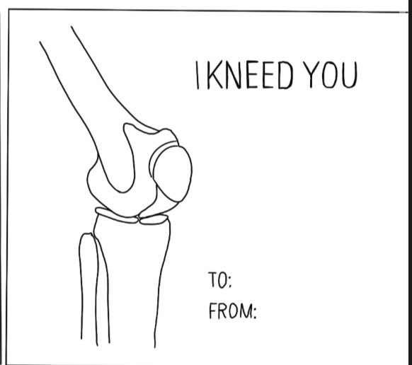 RU Physical Therapy tweet media