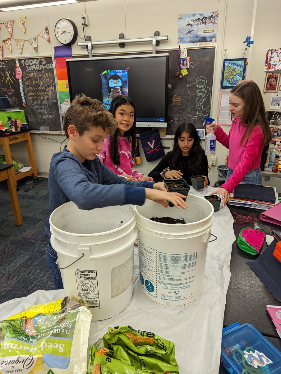 These 7th graders used their own free time to start bok choy and collard greens seeds for the Jefferson Garden! Yellow Jackets rock! #TJMSRocks #APSGreen