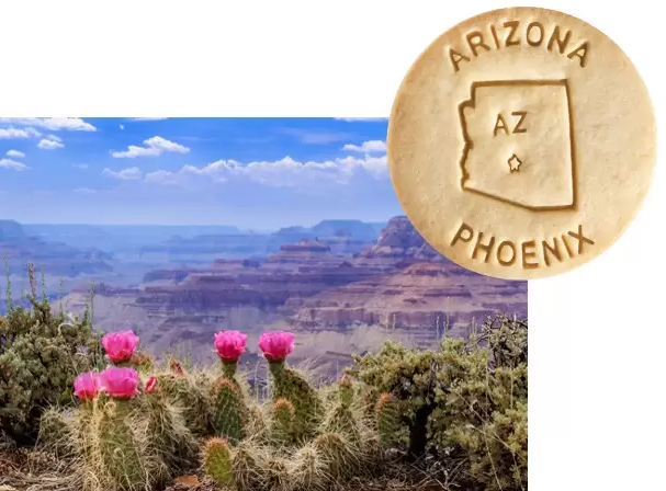 Edu_Snacks's tweet photo. On this date in 1912, Arizona became the 48th state. If you want to see some natural beauty, there are 22 national parks and monuments across the state. https://t.co/MyNyIpUCG2