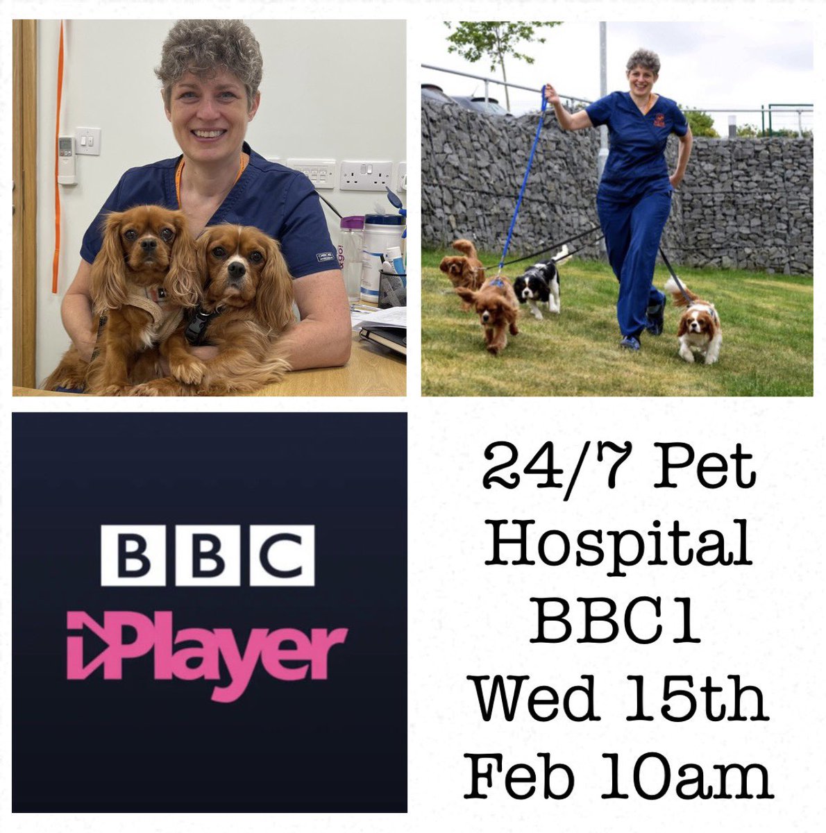 Clare Rusbridge (@neurovet_clare) / Twitter Clare Rusbridge (@neurovet_clare) / Twitter