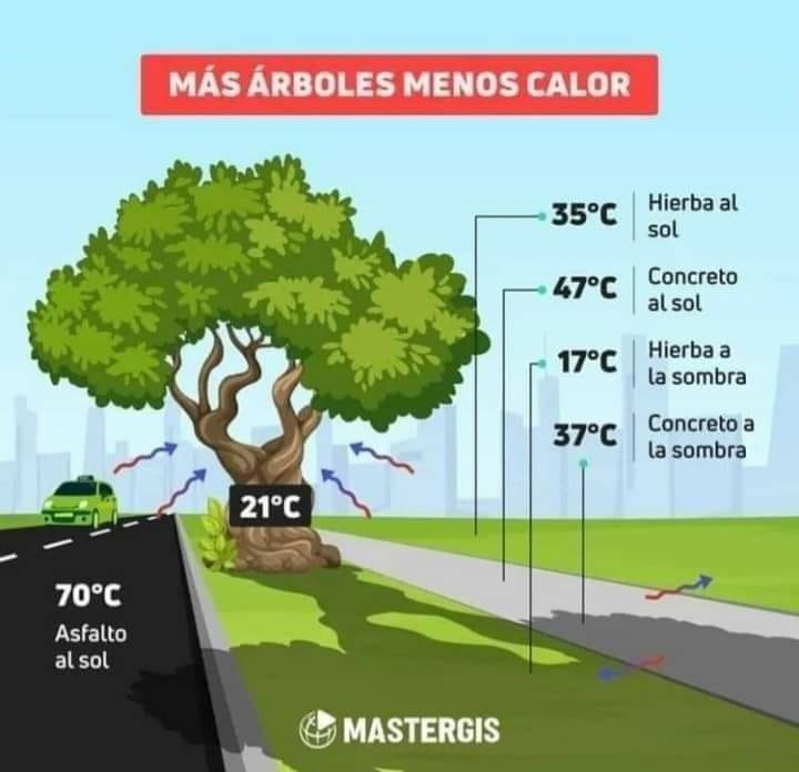 Quilpue Meteo tweet media
