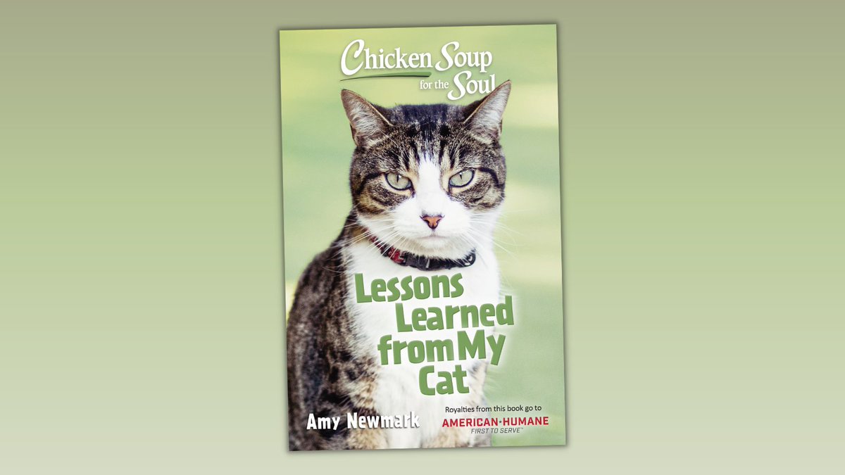 NicoleLVMullis's tweet photo. Always proud to place a piece with Chicken Soup for the Soul. This meow-valous collection is on sale today and includes my  essay "Changing Places". (Gray Cat, you are famous.) https://t.co/CB00WTgLy5