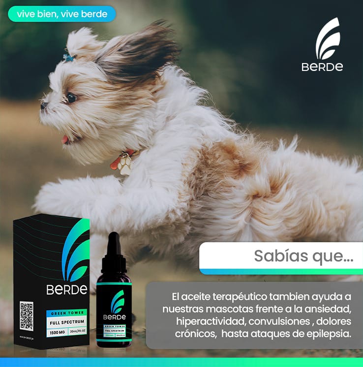 jerl231269's tweet photo. Un ser querido que merece tranquilidad CBD TERAPEUTICO INFORMES AL 945 720 668 https://t.co/Rjs430YqSo